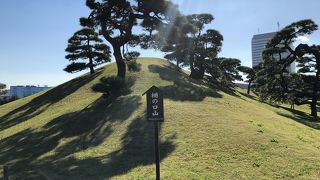 新樋の口山と対になっています