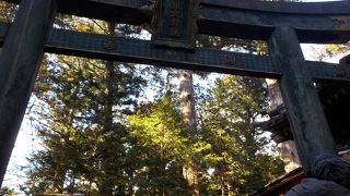 約２００段の階段を登るとこの鳥居が迎えてくれます。