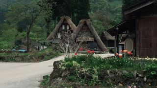 こじんまりとしてゆっくりできます。