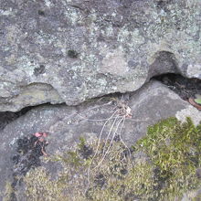 当時の矢穴等も見られました