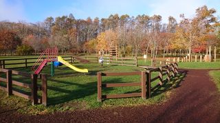 整備されて家族で楽しめる