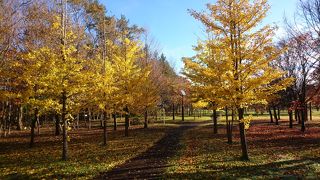 鹿公園キャンプ場