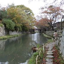 「八幡堀石畳の小路」です。近江八幡を代表する観光地の一つです