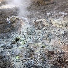 黄色くなっているところは火山ガスが噴出しています。