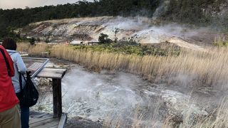 ビジターセンターの側から歩いて行けます。