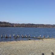 浜松市内西部に位置する比較的大きめな湖