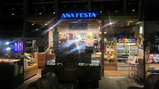 4年前と同じロケーションで頑張っていました