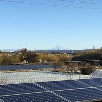 富士山見えました