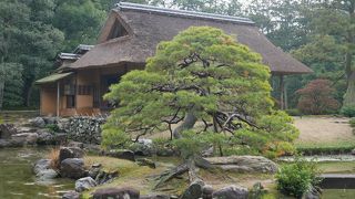 素晴らしい庭園