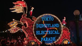 夜のパレードに満足