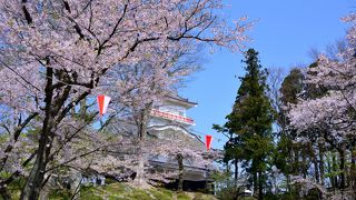 佐竹氏20万国の居城跡で今は桜の名所【日本100名城】