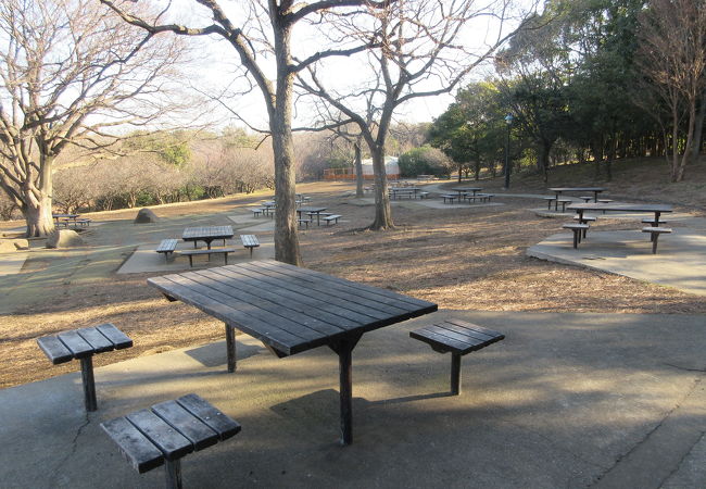 都立葛西臨海公園バーベキュー広場 クチコミ アクセス 営業時間 葛西 フォートラベル 都立葛西臨海公園バーベキュー広場 クチコミ アクセス 営業時間 葛西 フォートラベル