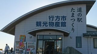 霞ヶ浦大橋近く