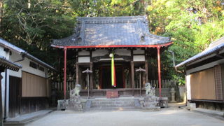 佐紀池の奥です