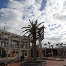 トロピカルな雰囲気だが、この日は寒かった