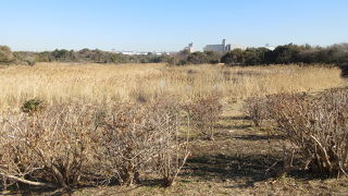 カメラマンが集まってきました