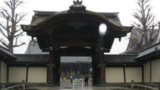 大きさにビックリ