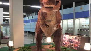 藤森にあります。