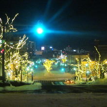 上から見下ろすとこんな感じ。