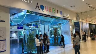 ソウル江南のモール内の水族館
