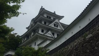 郡上八幡の街並みが一望です。