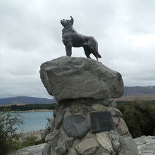 テカポ湖畔に建っているバウンダリー犬の像