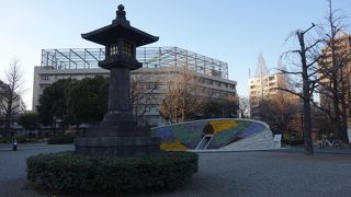 花がきれいに咲いていました