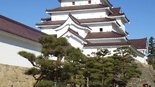 若松城の中心的存在