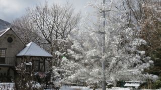 雪のガラスの森美術館