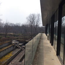 窓の外は手入れの行き届いた庭