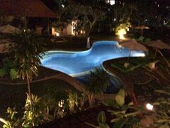 Bali Wirasana Inn 写真