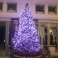 ロビーに飾られたクリスマスツリー
