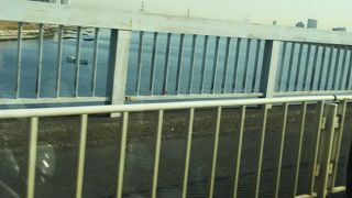 ディズニーへいくときに通った