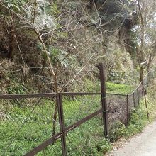 フェンスの中に亀ヶ谷坂切通