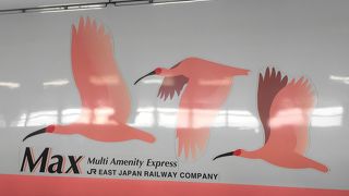 Ｍａｘときに乗車