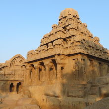 ダルマージャ・ラタです