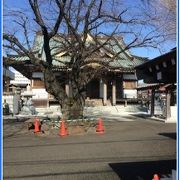 由緒あるお寺。山門や本堂も立派です