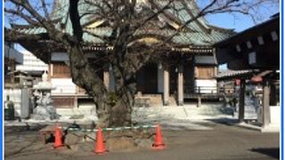 由緒あるお寺。山門や本堂も立派です
