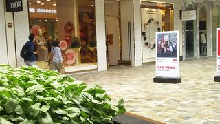 アメリカブランド