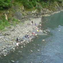 自然　南勢渓で川遊び