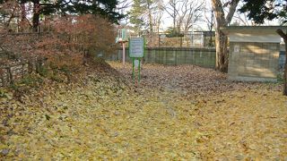 精華亭見学はおすすめです。