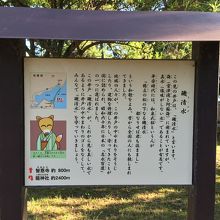 磯清水について