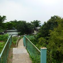 猫空の風景