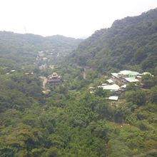 猫空の風景