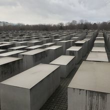 かなりの広さです。