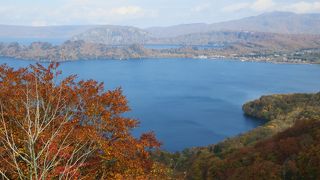 紫明亭展望台からの十和田湖が絶景でした