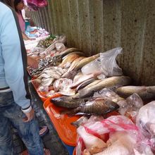 菁桐老街 こんなところに魚屋さん