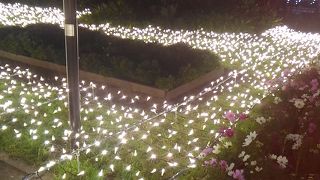 江ノ島の上の方