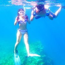 オールブルーさんでシュノーケル