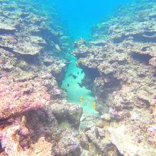 オールブルーさんのツアーに参加